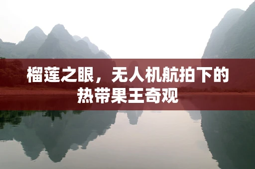 榴莲之眼，无人机航拍下的热带果王奇观
