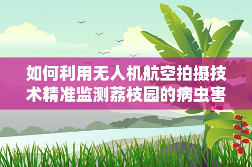 如何利用无人机航空拍摄技术精准监测荔枝园的病虫害？