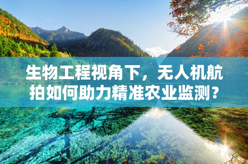 生物工程视角下，无人机航拍如何助力精准农业监测？
