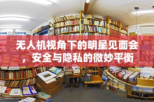 无人机视角下的明星见面会，安全与隐私的微妙平衡