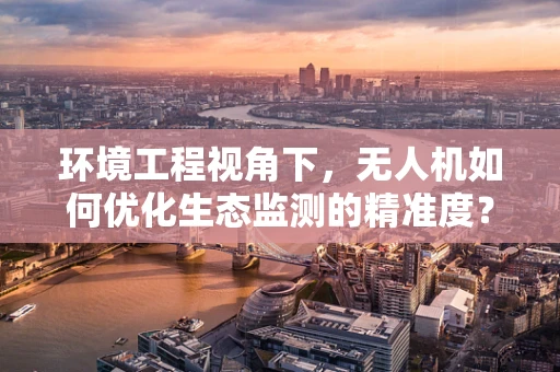 环境工程视角下，无人机如何优化生态监测的精准度？