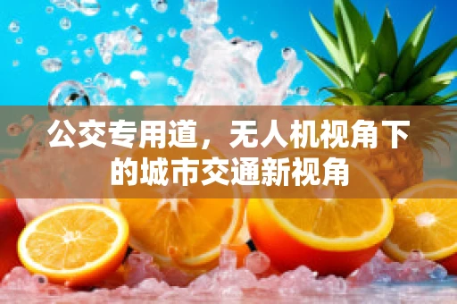 公交专用道，无人机视角下的城市交通新视角