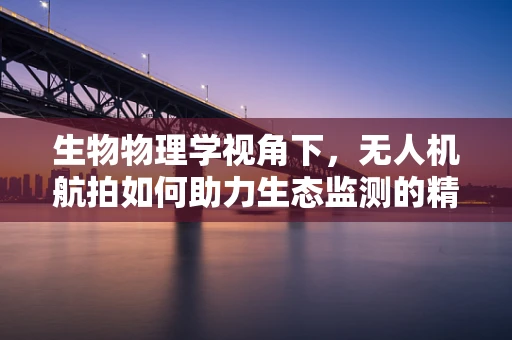 生物物理学视角下，无人机航拍如何助力生态监测的精准性？