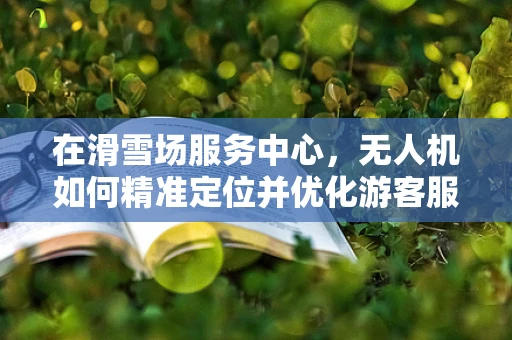 在滑雪场服务中心，无人机如何精准定位并优化游客服务？