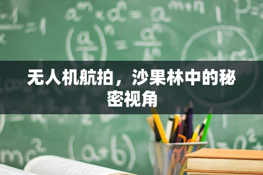 无人机航拍，沙果林中的秘密视角