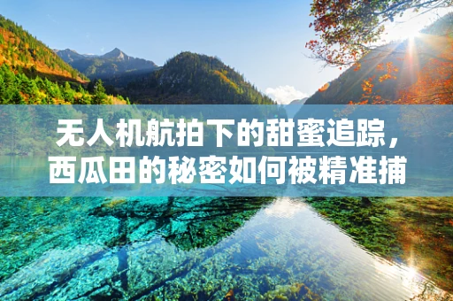 无人机航拍下的甜蜜追踪，西瓜田的秘密如何被精准捕捉？