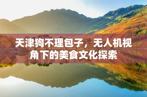 天津狗不理包子，无人机视角下的美食文化探索