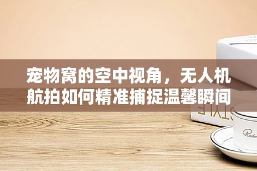 宠物窝的空中视角，无人机航拍如何精准捕捉温馨瞬间？