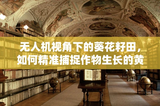 无人机视角下的葵花籽田，如何精准捕捉作物生长的黄金时刻？