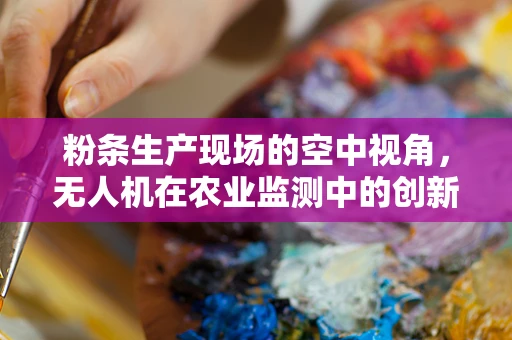 粉条生产现场的空中视角，无人机在农业监测中的创新应用？