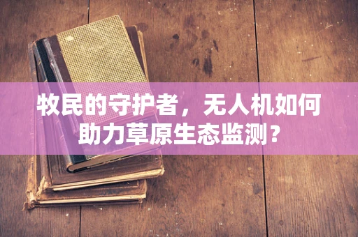 牧民的守护者，无人机如何助力草原生态监测？