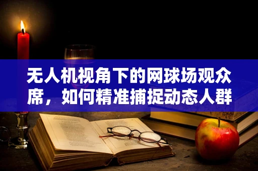 无人机视角下的网球场观众席，如何精准捕捉动态人群的细节？