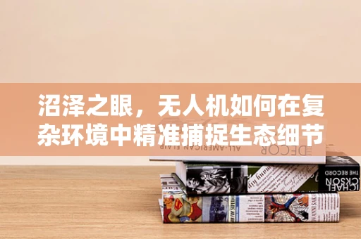 沼泽之眼，无人机如何在复杂环境中精准捕捉生态细节？