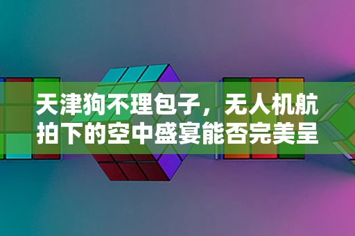 天津狗不理包子，无人机航拍下的空中盛宴能否完美呈现？