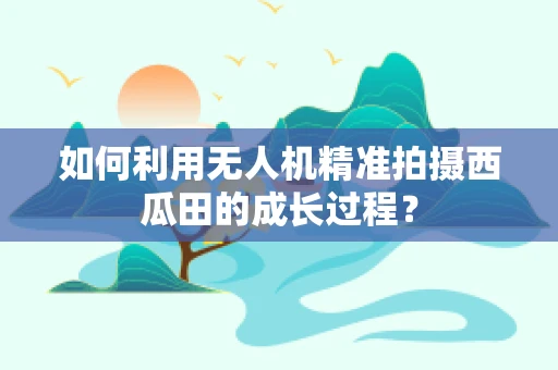 如何利用无人机精准拍摄西瓜田的成长过程？