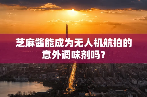 芝麻酱能成为无人机航拍的意外调味剂吗？