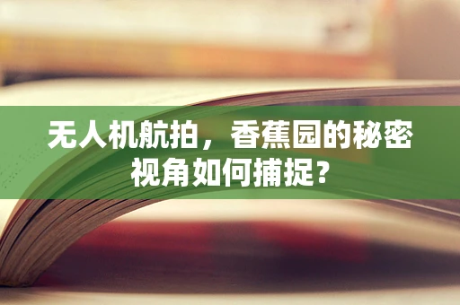 无人机航拍，香蕉园的秘密视角如何捕捉？