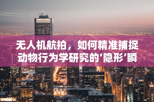 无人机航拍，如何精准捕捉动物行为学研究的‘隐形’瞬间？