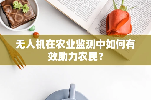 无人机在农业监测中如何有效助力农民？