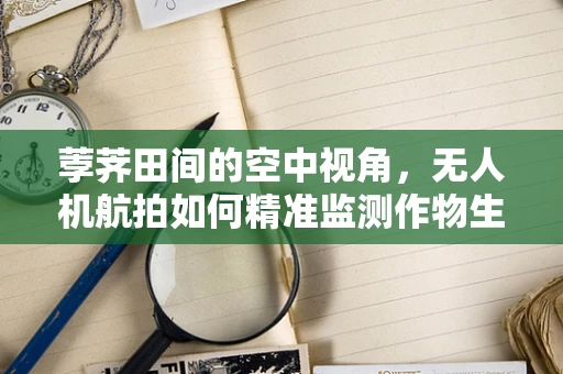 荸荠田间的空中视角，无人机航拍如何精准监测作物生长？