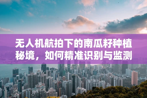 无人机航拍下的南瓜籽种植秘境，如何精准识别与监测？