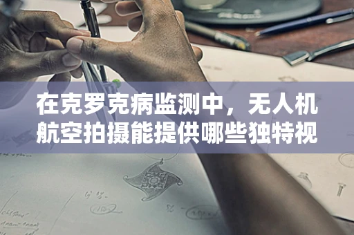 在克罗克病监测中，无人机航空拍摄能提供哪些独特视角？