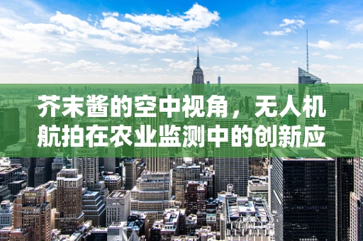 芥末酱的空中视角，无人机航拍在农业监测中的创新应用？