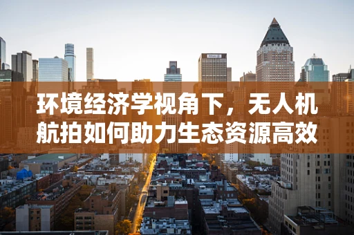 环境经济学视角下，无人机航拍如何助力生态资源高效评估？