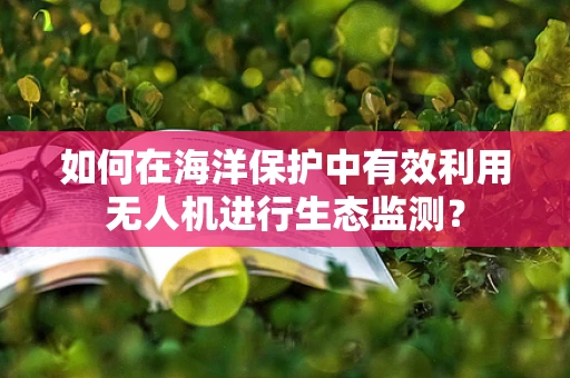 如何在海洋保护中有效利用无人机进行生态监测？
