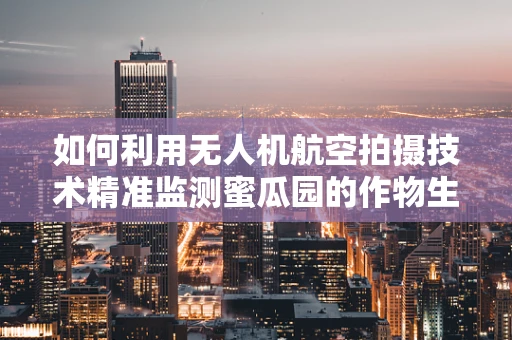 如何利用无人机航空拍摄技术精准监测蜜瓜园的作物生长状况？
