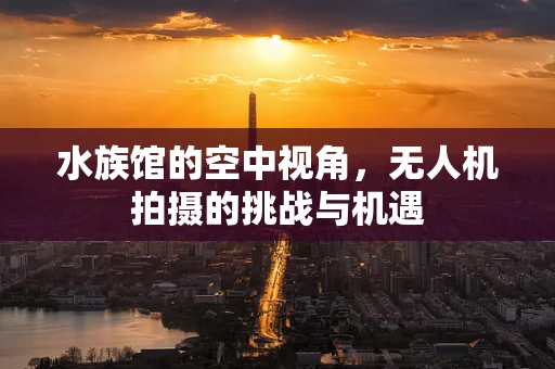 水族馆的空中视角，无人机拍摄的挑战与机遇