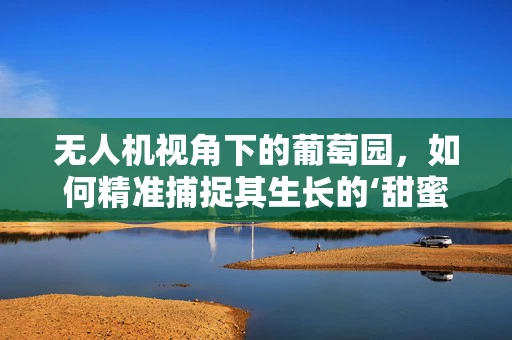 无人机视角下的葡萄园，如何精准捕捉其生长的‘甜蜜’瞬间？