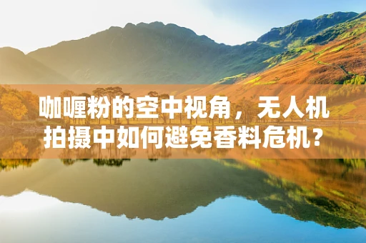 咖喱粉的空中视角，无人机拍摄中如何避免香料危机？