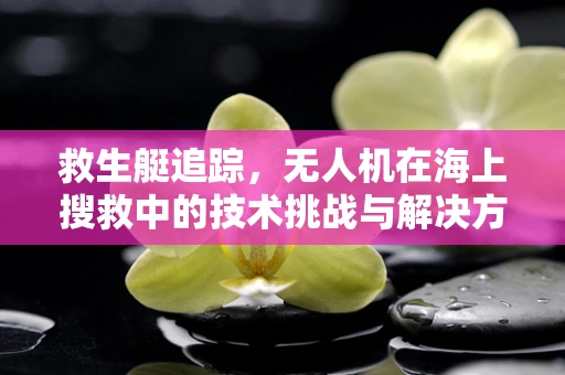 救生艇追踪，无人机在海上搜救中的技术挑战与解决方案
