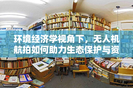 环境经济学视角下，无人机航拍如何助力生态保护与资源优化？
