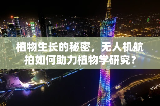 植物生长的秘密，无人机航拍如何助力植物学研究？