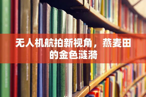 无人机航拍新视角，燕麦田的金色涟漪