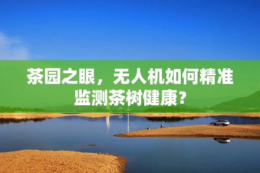 茶园之眼，无人机如何精准监测茶树健康？