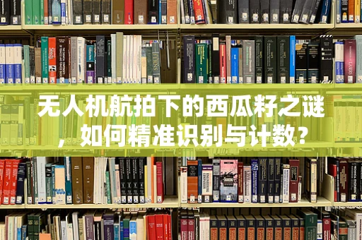 无人机航拍下的西瓜籽之谜，如何精准识别与计数？