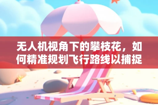 无人机视角下的攀枝花，如何精准规划飞行路线以捕捉最佳景观？