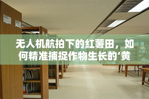 无人机航拍下的红薯田，如何精准捕捉作物生长的‘黄金视角’？