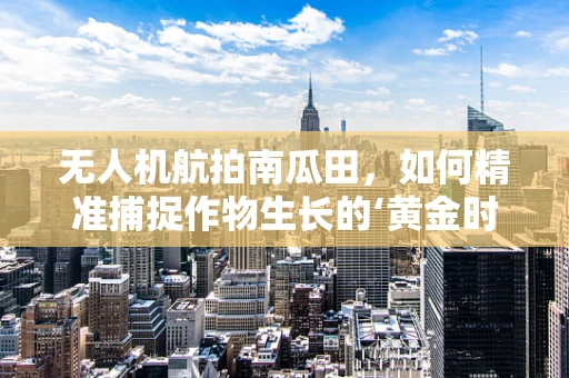 无人机航拍南瓜田，如何精准捕捉作物生长的‘黄金时刻’？