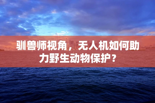 驯兽师视角，无人机如何助力野生动物保护？