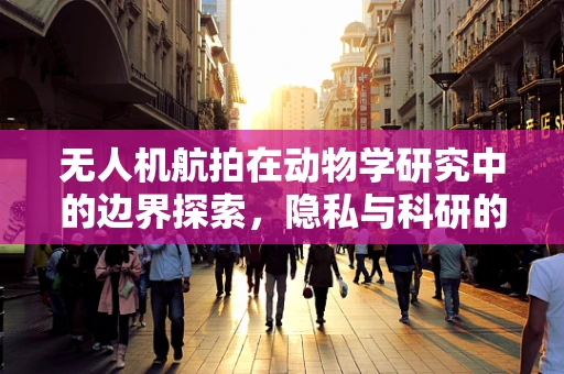 无人机航拍在动物学研究中的边界探索，隐私与科研的微妙平衡