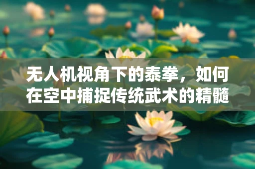 无人机视角下的泰拳，如何在空中捕捉传统武术的精髓？