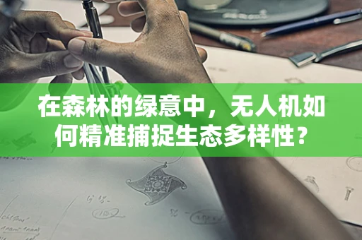 在森林的绿意中，无人机如何精准捕捉生态多样性？