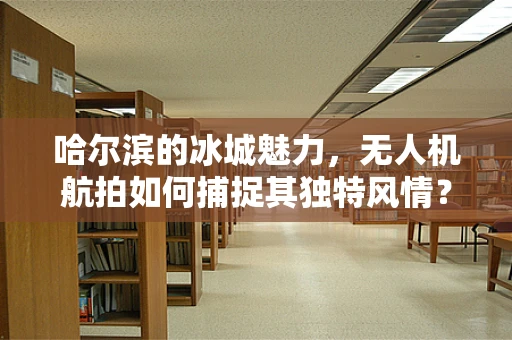 哈尔滨的冰城魅力，无人机航拍如何捕捉其独特风情？