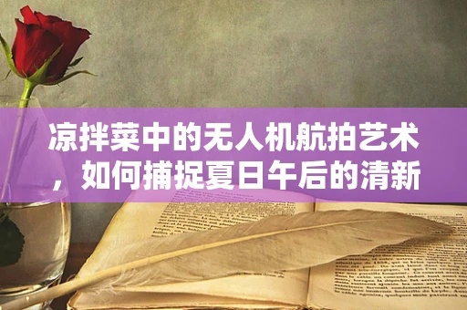 凉拌菜中的无人机航拍艺术，如何捕捉夏日午后的清新瞬间？