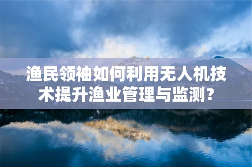 渔民领袖如何利用无人机技术提升渔业管理与监测？