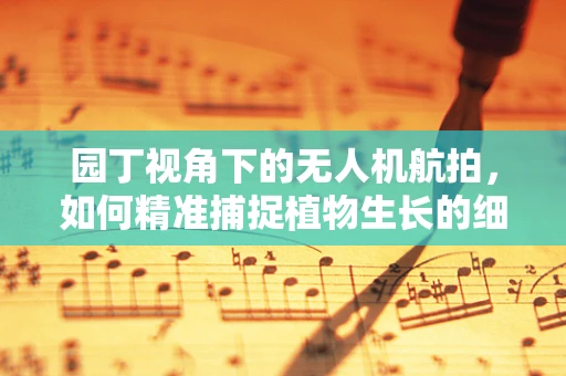 园丁视角下的无人机航拍，如何精准捕捉植物生长的细微变化？